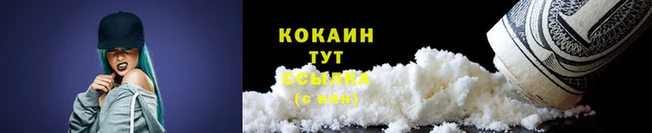 a pvp Белокуриха