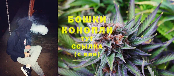a pvp Белокуриха