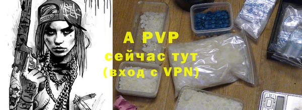 a pvp Белокуриха