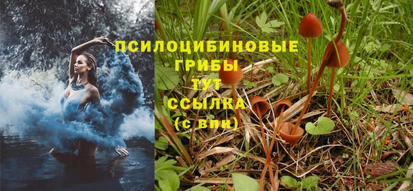 крисы Баксан
