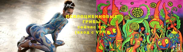 a pvp Белокуриха